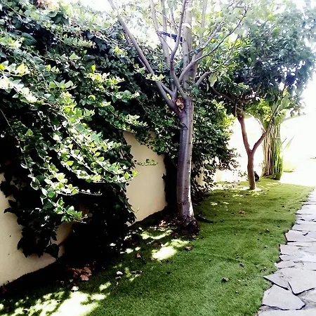 Aparthotel Domolea
